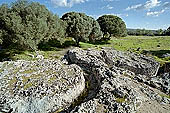 Selinunte Sicily stock photographs